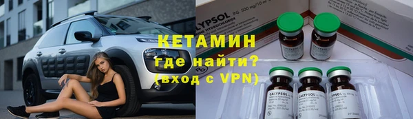 прущие грибы Ужур