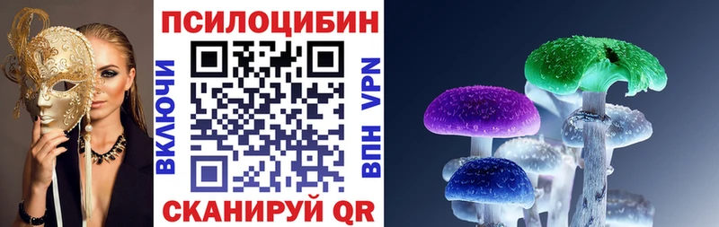 Псилоцибиновые грибы Psilocybine cubensis  Белебей 