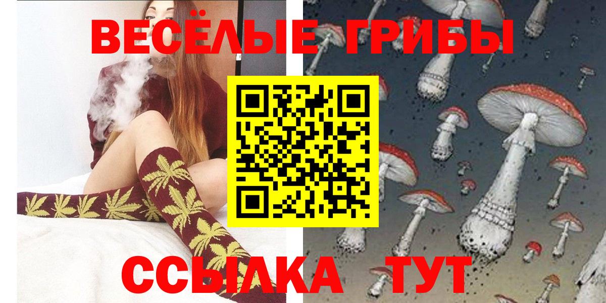 Псилоцибиновые грибы Psilocybine cubensis  Вход с VPN  Белебей  Псилоцибиновые грибы мицелий 