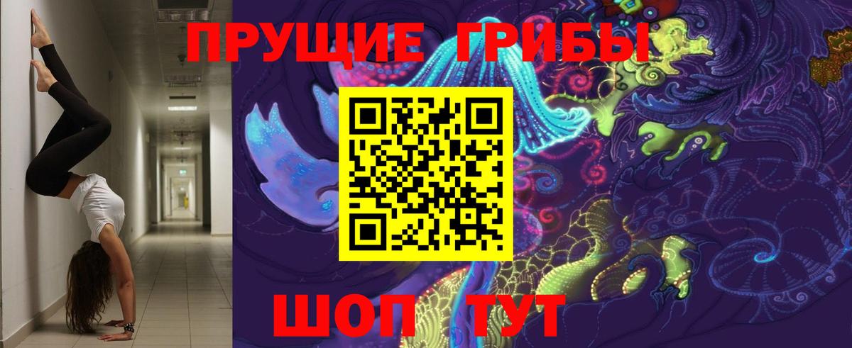 Галлюциногенные грибы мицелий  Галлюциногенные грибы Psilocybine cubensis  Белебей 